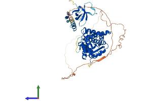 Protein Structure (PS) image for Glyoxylate Reductase 1 Homolog (GLYR1) (AA 1-546) protein (His tag) (ABIN7560232)