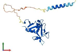Protein Structure (PS) image for C-Type Lectin Domain Family 5, Member A (CLEC5A) (AA 1-190) protein (His tag) (ABIN7556177)
