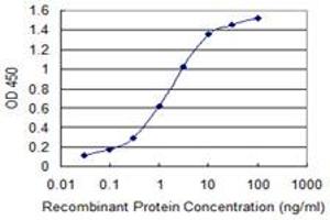 Detection limit for recombinant GST tagged RABGAP1L is 0. (RABGAP1L 抗体  (AA 1-110))