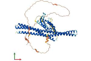 Protein Structure (PS) image for Sorting Nexin 2 (SNX2) (AA 1-519) protein (His tag) (ABIN7555543)