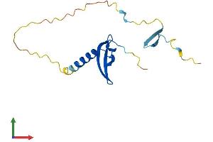 Protein Structure (PS) image for Chromobox Homolog 7 (CBX7) (AA 1-158) protein (His tag) (ABIN7559868)