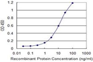 Detection limit for recombinant GST tagged UQCRH is 0. (UQCRH 抗体  (AA 1-91))