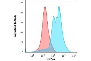 Flow Cytometric Analysis of PFA-fixed Jurkat cells. (ZAP70 抗体  (AA 1-254))