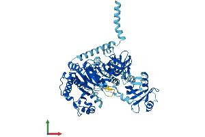 Protein Structure (PS) image for Solute Carrier Family 27 (Fatty Acid Transporter), Member 2 (SLC27A2) (AA 1-620) protein (His tag) (ABIN7562328)