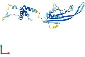 AlphaFold protein structure predicition of Human Recombinant KCTD11 Protein, UniprotID Q693B1