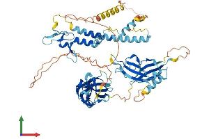 Protein Structure (PS) image for Synaptotagmin-Like 3 (SYTL3) (AA 1-610) protein (His tag) (ABIN7544179)