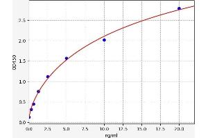 Typical standard curve (CYP7A1 ELISA 试剂盒)