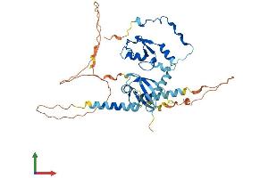 Protein Structure (PS) image for Ring Finger Protein 1 (RING1) (AA 1-406) protein (His tag) (ABIN7562375)