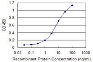 Detection limit for recombinant GST tagged EREG is 0. (Epiregulin 抗体  (AA 32-117))