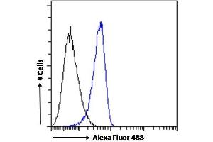 (ABIN185002) Flow cytometric analysis of paraformaldehyde fixed K562 cells (blue line), permeabilized with 0.