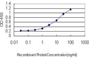 Detection limit for recombinant GST tagged ASCL1 is approximately 1ng/ml as a capture antibody. (ASCL1 抗体  (AA 137-236))
