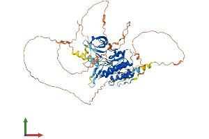Protein Structure (PS) image for Testis-Specific Kinase 2 (TESK2) (AA 1-570) protein (His tag) (ABIN7559830)