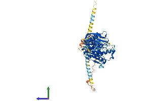 Protein Structure (PS) image for Mannosyl (Alpha-1,3-)-Glycoprotein beta-1,4-N-Acetylglucosaminyltransferase, Isozyme B (MGAT4B) (AA 1-548) protein (His tag) (ABIN7564323)