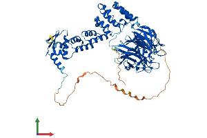 Protein Structure (PS) image for Kelch-Like 17 (KLHL17) (AA 1-640) protein (His tag) (ABIN7558111)