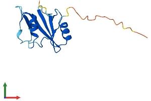 Protein Structure (PS) image for SH2 Domain Containing 1A (SH2D1A) (AA 1-126) protein (His tag) (ABIN7562684)