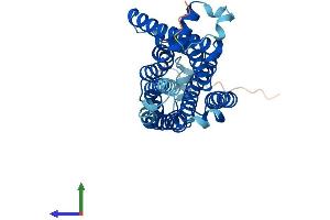 AlphaFold protein structure predicition of Mouse Recombinant Taar2 Protein, UniprotID Q5QD17