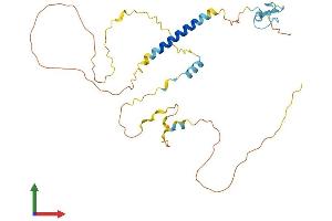 Protein Structure (PS) image for Chromosome 18 Open Reading Frame 1 (C18orf1) (AA 1-306) protein (His tag) (ABIN7554430)