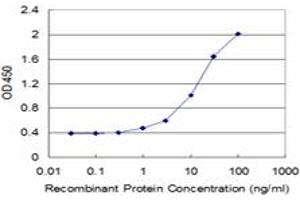 Detection limit for recombinant GST tagged ALAS2 is approximately 0. (ALAS2 抗体  (AA 1-100))