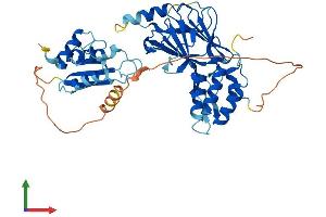 Protein Structure (PS) image for Interferon Regulatory Factor 3 (IRF3) (AA 1-427) protein (His tag) (ABIN7554178)