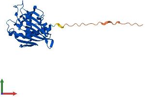 Protein Structure (PS) image for StAR-Related Lipid Transfer (START) Domain Containing 6 (STARD6) (AA 1-233) protein (His tag) (ABIN7556539)