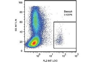 Surface staining of human peripheral blood cells with anti-CD107a (H4A3) PE. (LAMP1 抗体  (APC))