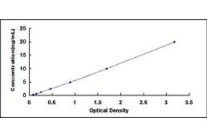 Typical standard curve (GLUD1 ELISA 试剂盒)