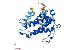 AlphaFold protein structure predicition of Human Recombinant MOB3A Protein, UniprotID Q96BX8