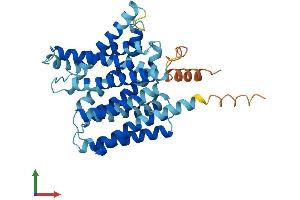 AlphaFold protein structure predicition of Mouse Recombinant Slc35c1 Protein, UniprotID Q8BLX4 (SLC35C1 Protein (AA 1-363) (His tag))