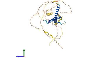 Protein Structure (PS) image for Oligodendrocyte Lineage Transcription Factor 2 (OLIG2) (AA 1-323) protein (His tag) (ABIN7550068)