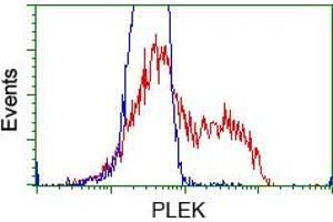 HEK293T cells transfected with either pCMV6-ENTRY PLEK (RC203780) (Red) or empty vector control plasmid (Blue) were immunostained with anti-PLEK mouse monoclonal (ABIN2453488), and then analyzed by flow cytometry. (Pleckstrin 抗体)