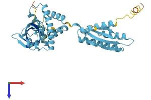 EIF2S1 Protein (AA 1-315) (His tag)