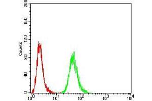 Flow cytometric analysis of *** cells using *** mouse mAb (green) and negative control (red). (Histone Cluster 2, H3c (HIST2H3C) (acLys27) 抗体)