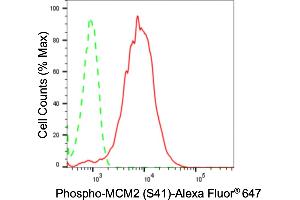 Flow cytometric analysis of phospho-MCM2 (S41) expression in HepG2 cells using phospho-MCM2 (S41) antibody (ABIN7799418), 1:2,000).