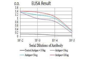 Black line: Control Antigen (100 ng),Purple line: Antigen (10 ng), Blue line: Antigen (50 ng), Red line:Antigen (100 ng) (CD40 Ligand 抗体  (AA 47-261))