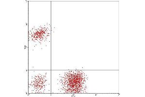 Flow Cytometry (FACS) image for anti-CD3/CD19 (CD3/CD19) antibody (FITC,PE) (ABIN2144404) (CD3 + CD19 抗体  (FITC,PE))