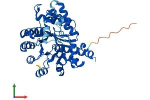 Protein Structure (PS) image for Adenosine Deaminase-Like Protein (ADAL) (AA 1-355) protein (His tag) (ABIN7551903)