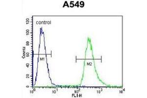 Flow cytometric analysis of A549 cells using Endoplasmin / HSP90B1 / TRA1 Antibody (Center) Cat. (GRP94 抗体  (Middle Region))