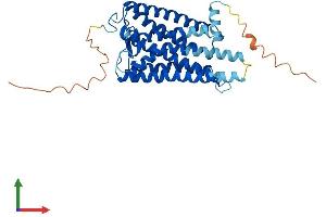 Protein Structure (PS) image for Opsin 1 (Cone Pigments), Medium-Wave-Sensitive (OPN1MW) (AA 1-359) protein (His tag) (ABIN7562338)