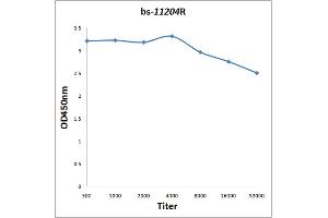 ELISA image for anti-Paired Box 6 (PAX6) (AA 51-150) antibody (ABIN1387454)