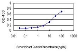 Detection limit for recombinant GST tagged CREG1 is approximately 0. (CREG1 抗体  (AA 121-220))