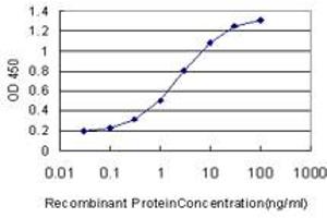 Detection limit for recombinant GST tagged RUNX2 is approximately 0. (RUNX2 抗体  (AA 251-350))