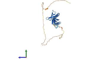 Protein Structure (PS) image for Pleckstrin Homology Domain Containing Family A3 (PLEKHA3) (AA 1-297) protein (His tag) (ABIN7561445)