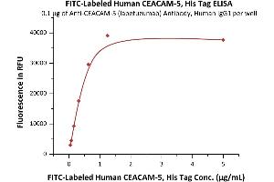 ELISA image for Carcinoembryonic Antigen-Related Cell Adhesion Molecule 5 (CEACAM5) (AA 35-685) (Active) protein (His tag,FITC) (ABIN6973027)