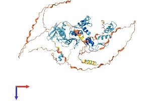 ZNF710 Protein (AA 1-664) (His tag)
