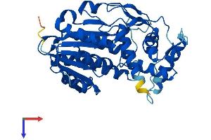 HSD3B7 Protein (AA 1-369) (His tag)