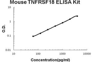 Mouse TNFRSF18/GITR Accusignal ELISA Kit Mouse TNFRSF18/GITR AccuSignal ELISA Kit standard curve. (TNFRSF18 ELISA 试剂盒)