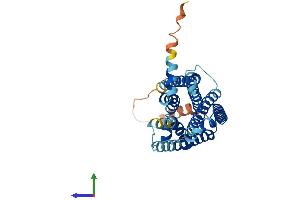 AlphaFold protein structure predicition of Human Recombinant MC5R Protein, UniprotID P33032