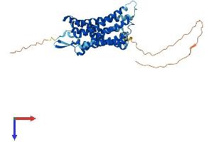 LPAR5 Protein (AA 1-372) (His tag)