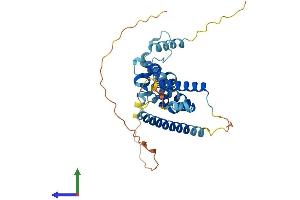 AlphaFold protein structure predicition of Human Recombinant CCDC97 Protein, UniprotID Q96F63 (CCDC97 Protein (AA 1-343) (His tag))