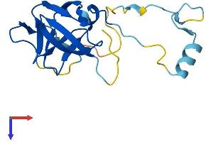Protein Structure (PS) image for Endogenous Retrovirus Group K, Member 21 (ERVK-21) (AA 1-156) protein (His tag) (ABIN7545137)